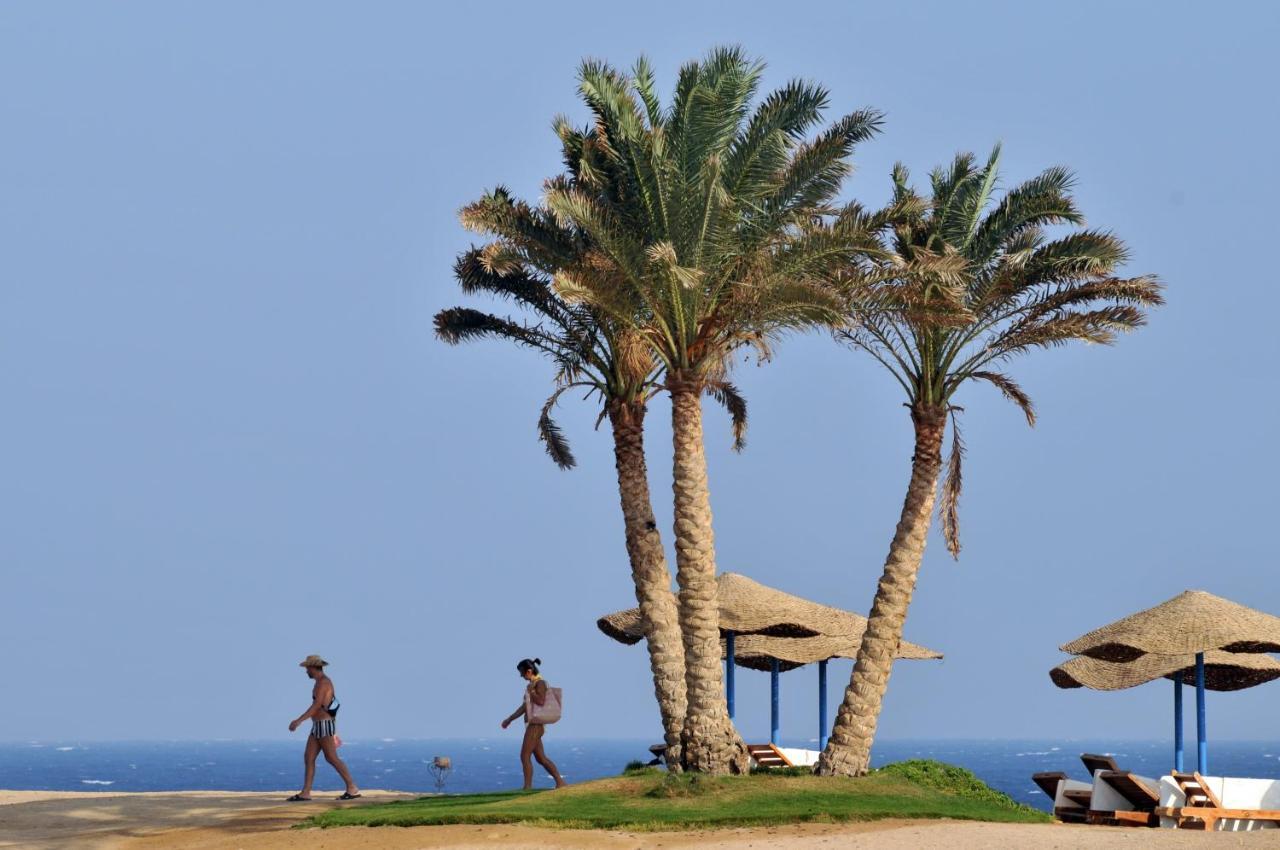 Jaz Neo Reef Marsa Resort Bucht von Coraya